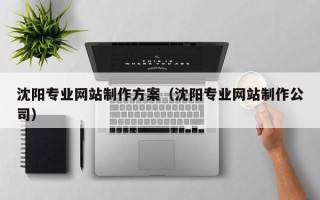 商水沈阳专业网站制作方案（沈阳专业网站制作公司）